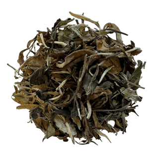 Dry tea leaves on a transparent background